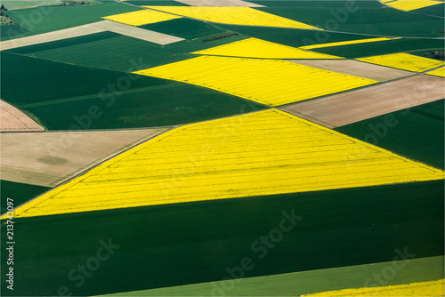 vue aérienne de champs de colza à Saint-Laurent-la-Gâtine en Eure-et-Loir en France