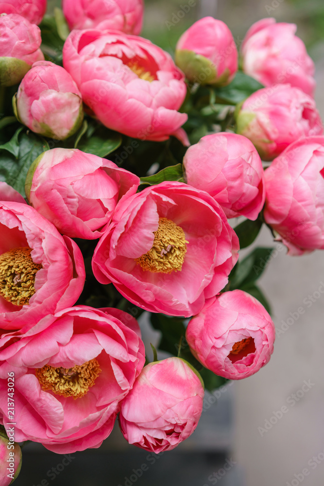 pink peonies. Beautiful summer bouquet. Floral composition. Wallpaper. Lovely flowers in glass vase. pink peonies. Beautiful summer bouquet. Floral composition. Wallpaper. Lovely flowers in glass vase.