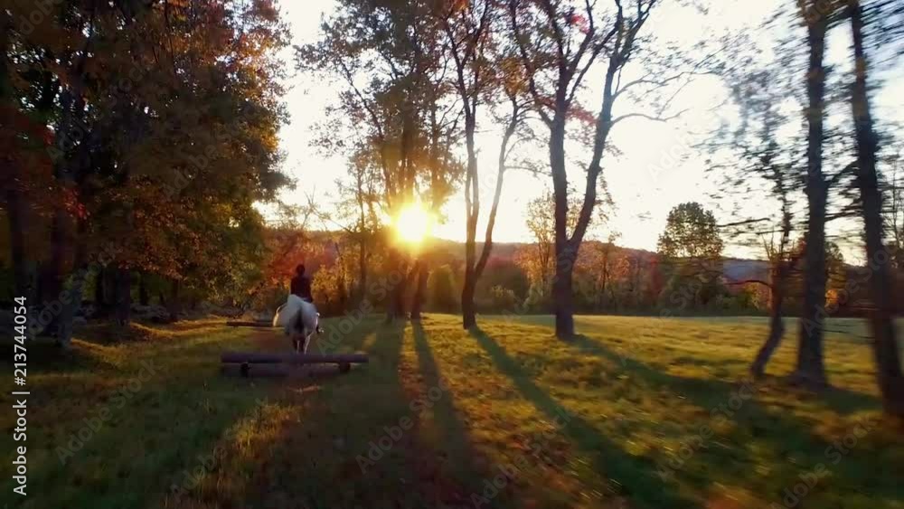Drone follows horse rider over jumps in scenic wooded setting. Drone follows horse rider over jumps in scenic wooded setting.