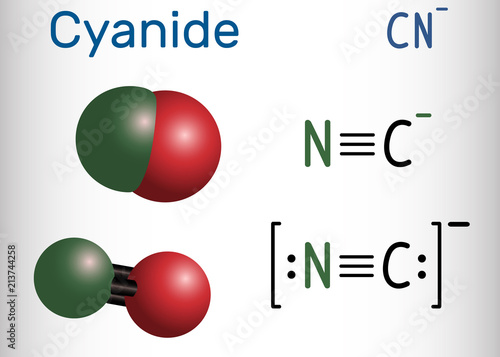 Cyanide anion molecule. Structural chemical formula and molecule model