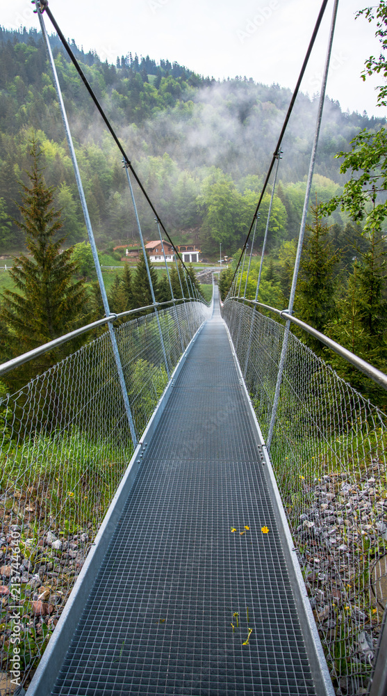 Obraz premium Alpine forest Cable bridge - symbolising connectivity across chasms. The chasms in big data need be connected & analysed via a deep learning algorithm, symbolised by the very stable bridge meshwork .
