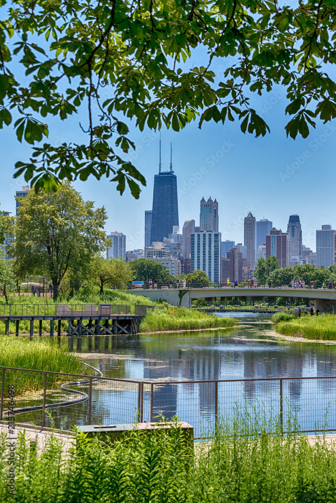 Obraz premium Miasto Chicago w USA