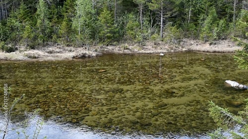 Scene of a very clear and clam forest river with lots of boulders seen on the bottom. Location near Vinje in Telemark, Norway. photo