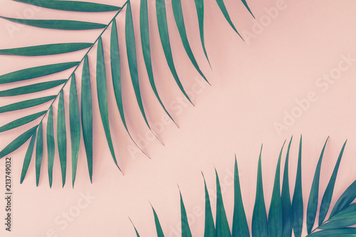 Liście palmowe na różowym tle. Trend vintage stonowany.