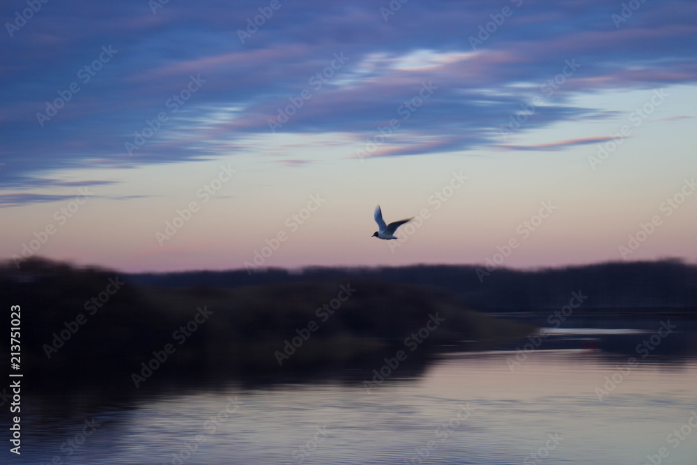 one flying over the river