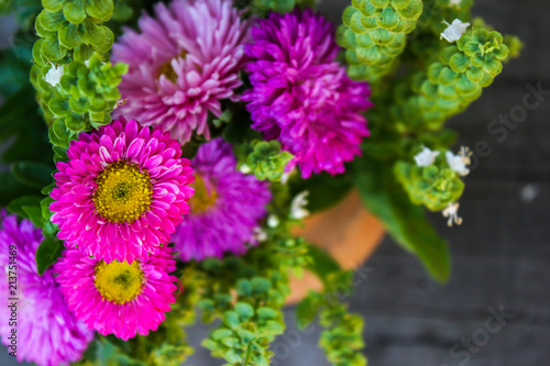 Pink and purple flowers of Aster. Bouquet of flowers. Green basil.