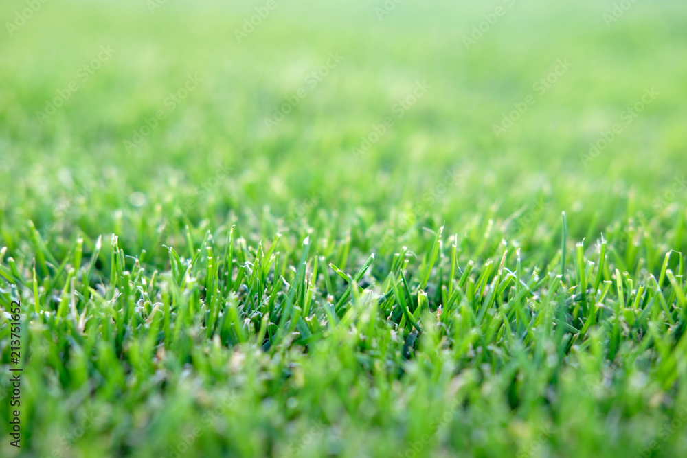 football field lawn background