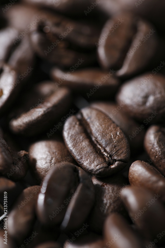 コーヒー豆 コーヒー豆