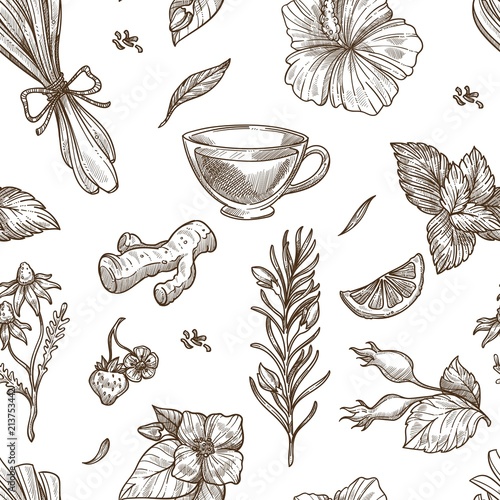 Herbs sketch vector seamless pattern background