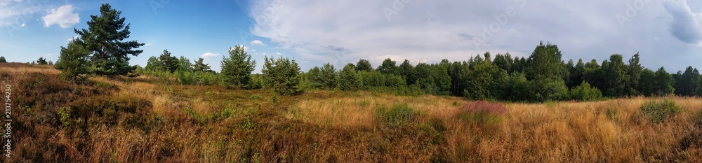 scenic panorama view of natural landscape under a cloudy sky