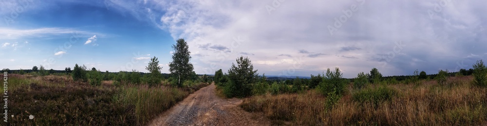 scenic panorama view of natural landscape under a cloudy sky