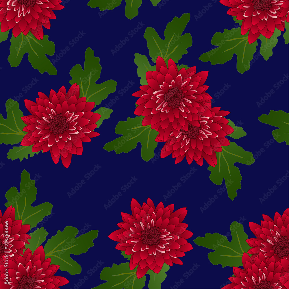 Obraz premium Red Chrysanthemum on Navy Blue Background