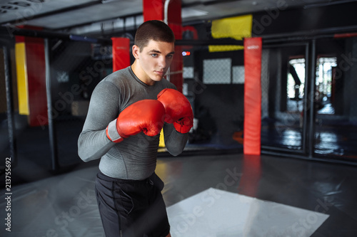 Male boxer engaged in training in the gym, in a cage for a fight without rules, Boxing coach © Shopping King Louie