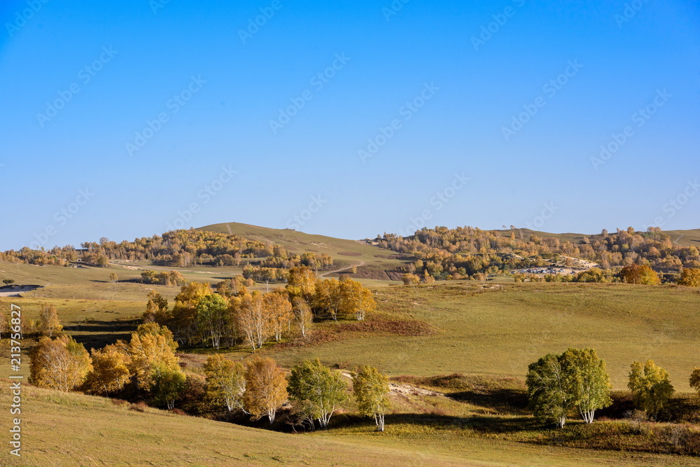 Natural scenery of Inner Mongolia grassland in autumn in China