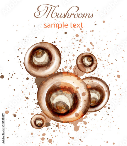Mushrooms watercolor Vector. Delicious colorful designs illustrations