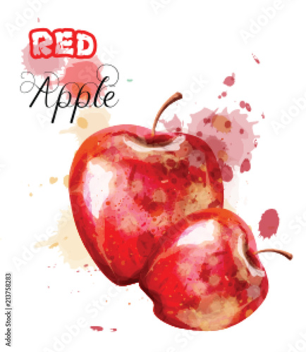 Apple watercolor isolated Vector. Juicy colorful fruits illustrations