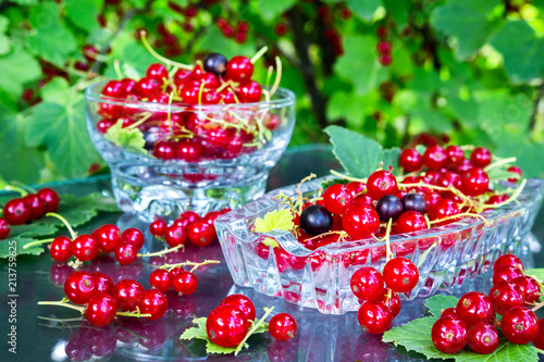 Fresh juicy berry red currant in a glass bowl in a garden on a table in the background of bushes with berries in a summer day with copy space