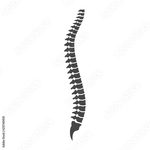 Spine structure icon