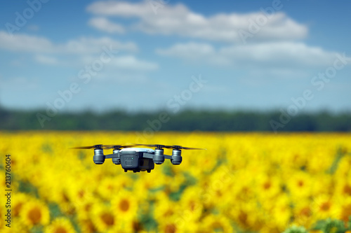 The drone is flying over the sunflower field