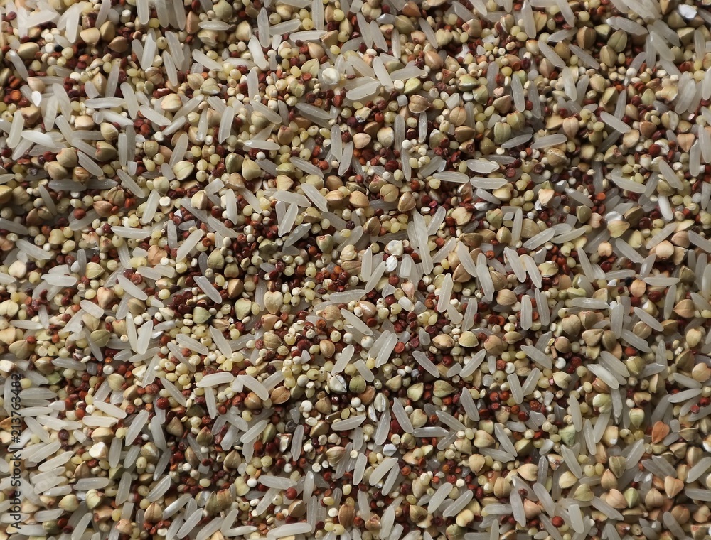 Quinoa, buckwheat, millet and rice; A cereal mix ready for a healthy cold or hot summer dish.