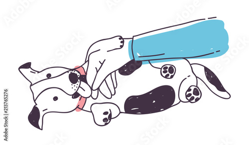 Cute dog playing with owner's hand and licking it