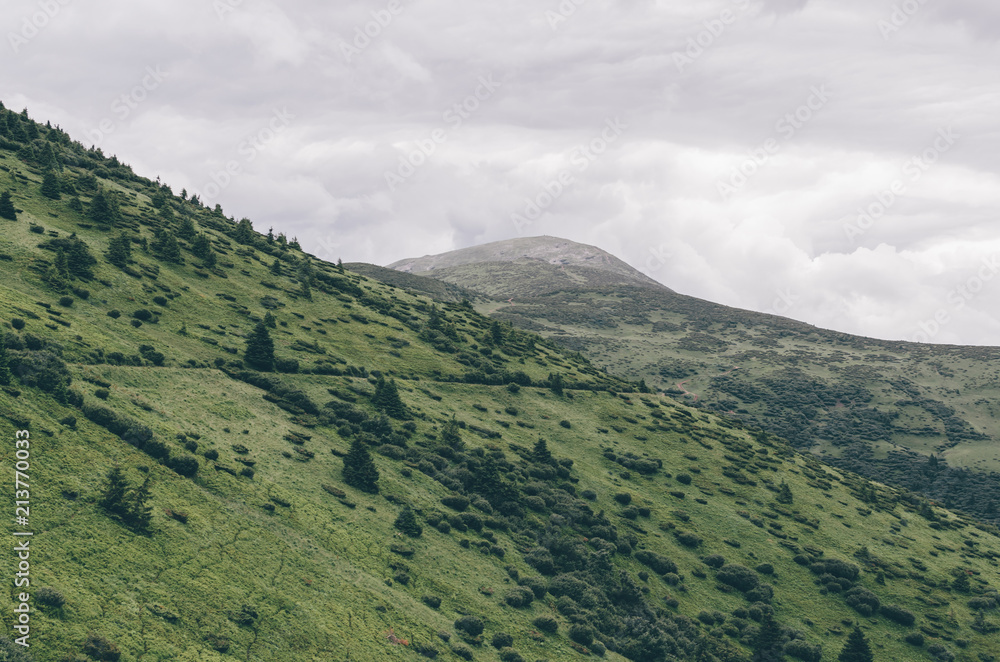 Carpathian mountains landscape, view the Petros mount, Ukraine Carpathian mountains landscape, view the Petros mount, Ukraine