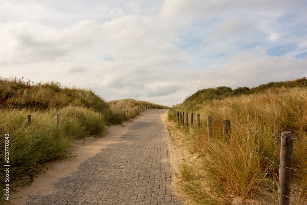 Obraz premium North sea landscape at evening light