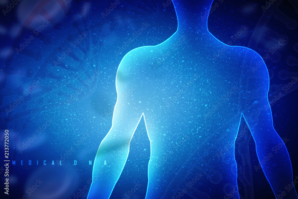 2d illustration Human Male Muscle Body
2d illustration Human Male Muscle Body