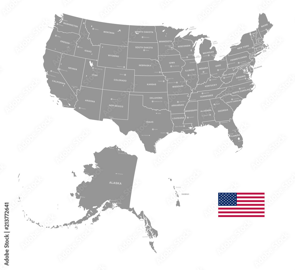 Grey Vector Political Map Of Usa Stock Vector Adobe Stock