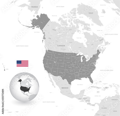 Photo Grey Vector Political Map of the USA