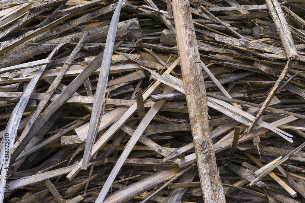 picture of chips and other debris from a broken tree trunk. Small depth of field Chipped fire woods.