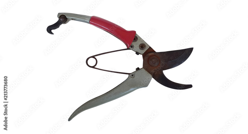 Old secateurs isolated on white background with clipping path Old secateurs isolated on white background with clipping path