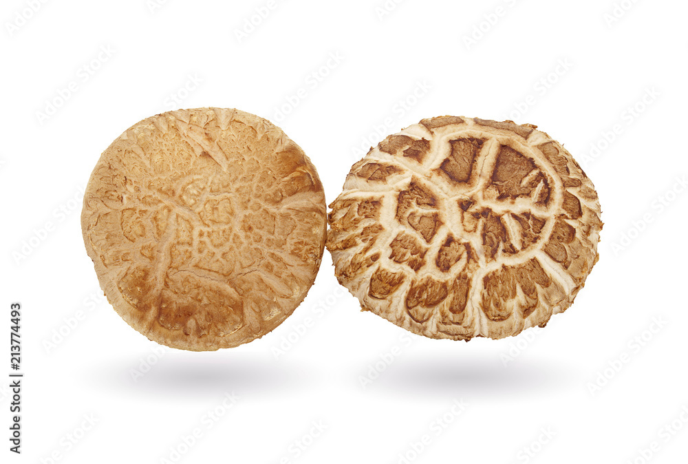 Fresh mushrooms isolated on white background with clipping path