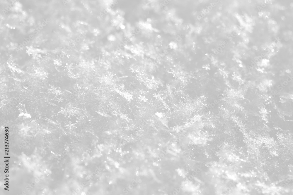 Shiny white background. A snow texture on a winter sunny day. Shiny white background. A snow texture on a winter sunny day.