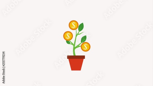 potted plant dollar coins growth finance animation hd photo