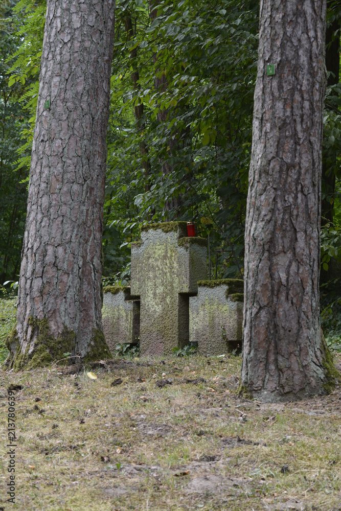 gräber auf dem waldfriedhof mainz-mombach