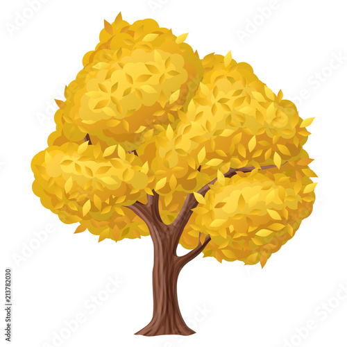 Autumn tree illustration with yellow and orange leaf. Vector illustration, isolated on white for fall and autumn design