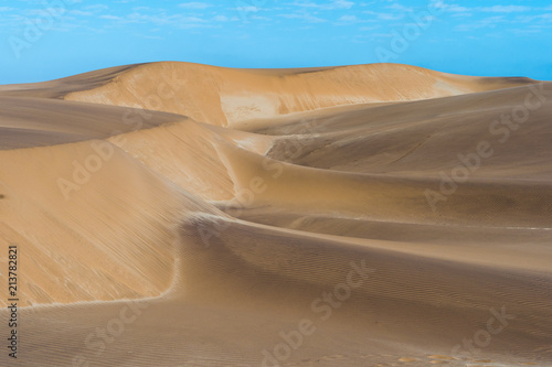 Namib desert and wilderness landscape 