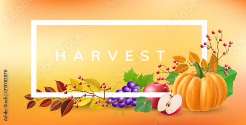Horizontal frame with harvest fruits, and vegetables, autumn leaf, berry, pumpkin, apple and grapes. Vector illustration with orange background and white frame, for fall and autumn related design