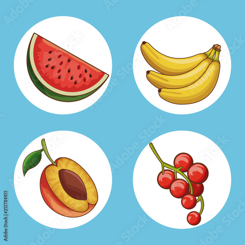 Set of fruits round icons collection vector illustration graphic design