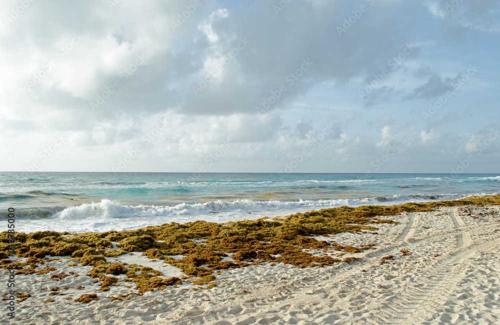 Caribbean Sea beach with sky horizon and water. Wave, cloud Caribbean Sea beach with sky horizon and water. Wave, cloud