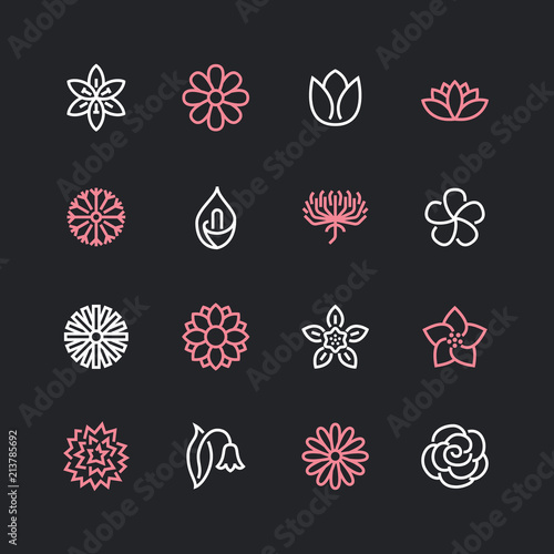 Flowers flat line icons. Beautiful garden plants - chamomile, sunflower, rose flower, lotus, carnation, dandelion, violet blossom. Thin signs for floral store. Pixel perfect 48x48. Editable Strokes