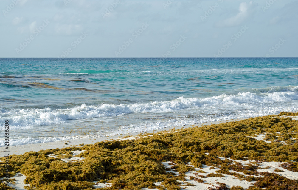 Caribbean Sea beach with sky horizon and water. Wave, cloud Caribbean Sea beach with sky horizon and water. Wave, cloud