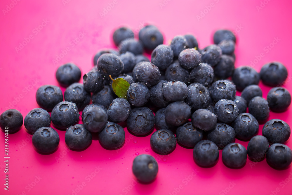 Freshly picked blueberries are covered with rain or water drops on a pink background Freshly picked blueberries are covered with rain or water drops on a pink background