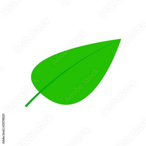 Leaf icon. Vector illustration, eps10