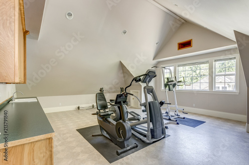 Well appointed home gym with vaulted ceiling