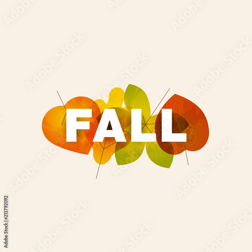 Fall lettering illustration made from colorful leaves isolated on light background. Easy to use for print and web promotion.