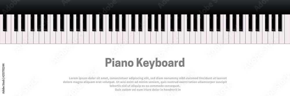 Fototapeta premium Piano keyboard isolated on white background. Vector music design template.