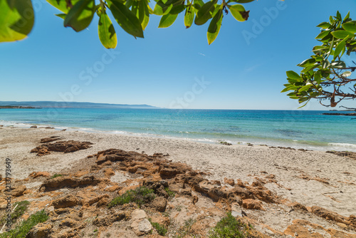 Fototapeta Naklejka Na Ścianę i Meble -  Colorful shore in Le Bombarde beach in Alghero