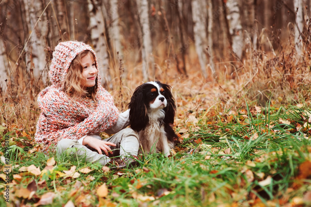 happy kid girl playing with her cavalier king charles spaniel dog in autumn, walking outdoor in sunny garden or forest